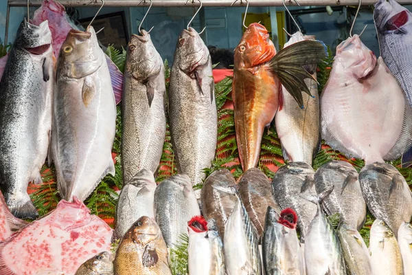 Peixe fresco pendurado em ganchos — Fotografia de Stock