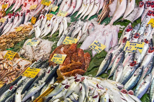 Türk pazarında Satılık balık