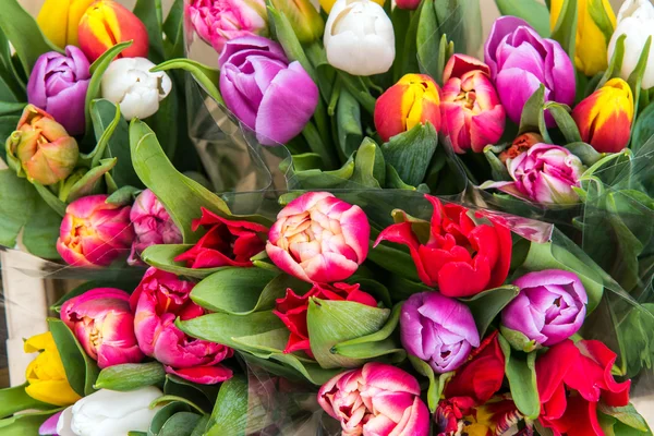 Colorful tulips at a market — Stock Photo, Image