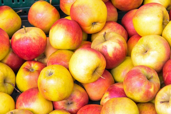 赤と黄色のリンゴの背景 — ストック写真
