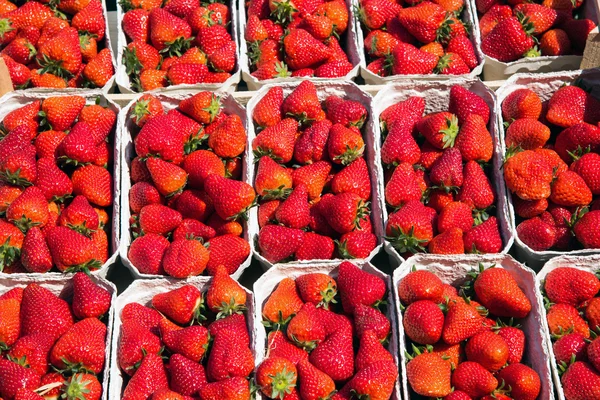 Fresas frescas en un mercado —  Fotos de Stock