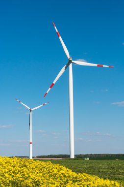 Sarı çiçek ve windwheels
