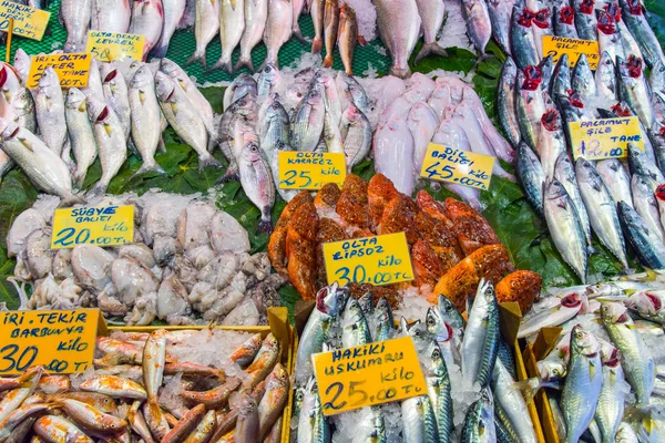 Vari tipi di pesce in vendita — Foto Stock
