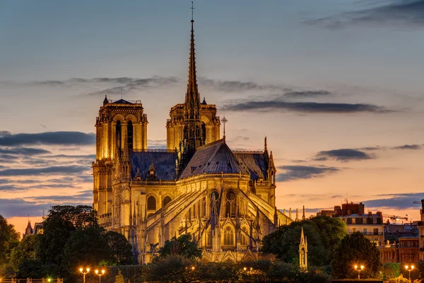 Rückseite der Notre Dame im Morgengrauen — Stockfoto