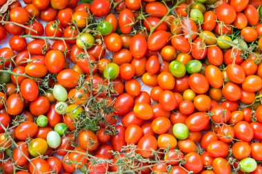 Palermo'da bir pazarda domates