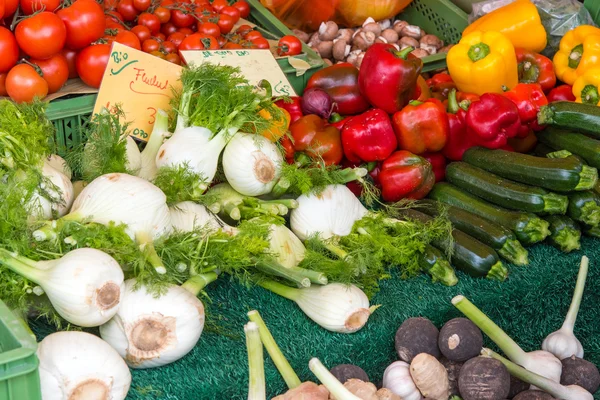 Fänkål, paprika och zucchini — Stockfoto