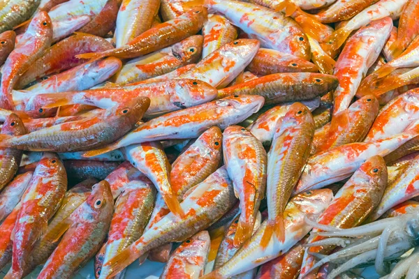 Red mullet for sale in Sicily — Stock Photo, Image