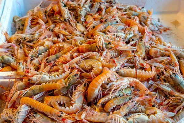 Camarones Frescos Para Venta Mercado —  Fotos de Stock