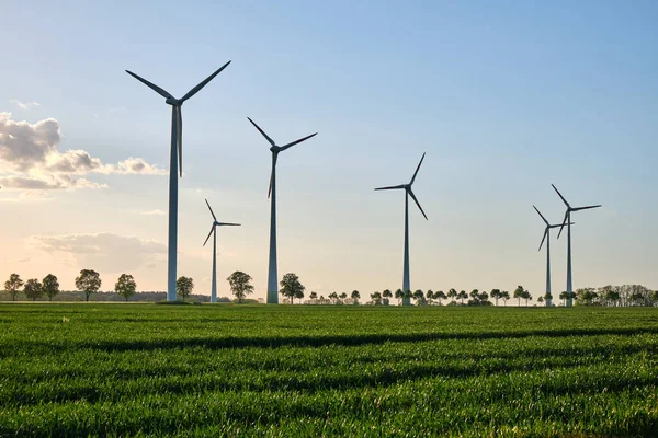 Wind Turbines Grain Field Back Light Seen Germany — Stock Photo, Image