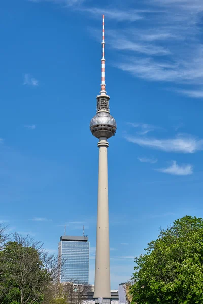 Fernsehturm Berlins Legmagasabb Épület Tiszta Kék Égbolttal — Stock Fotó