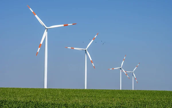 德国一个谷物田里的现代风力涡轮机 — 图库照片
