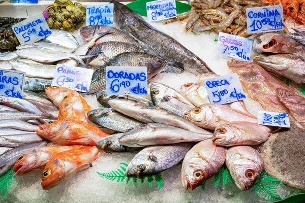 Peixes Marisco Para Venda Num Mercado Espanha — Fotografia de Stock