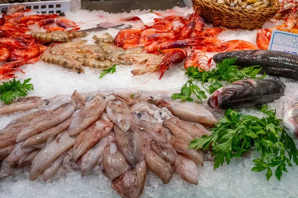 Spanya Bir Pazarda Satılık Mürekkep Balığı Karides — Stok fotoğraf
