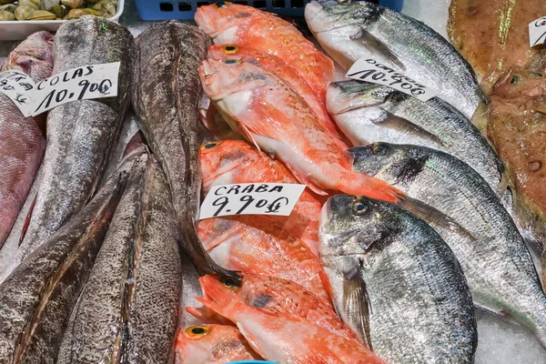 ปลาสดส าหร บขายในตลาดในบาร เซโลนา — ภาพถ่ายสต็อก