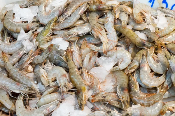 Crevettes fraîches au marché — Photo