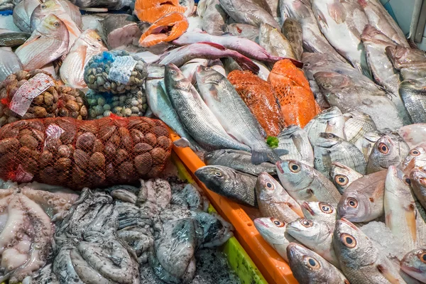 Frutos do mar frescos e peixes — Fotografia de Stock