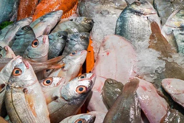 Muitos peixes diferentes em um mercado — Fotografia de Stock