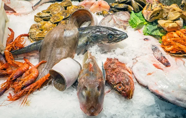 Mariscos y pescados en un mercado —  Fotos de Stock