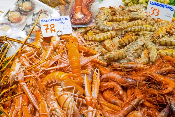 Camarões e camarões para venda — Fotografia de Stock