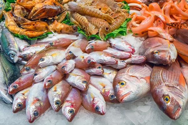 Peixe saboroso e frutos do mar — Fotografia de Stock