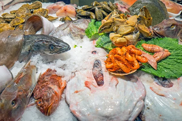 Variedade de peixes e mariscos — Fotografia de Stock