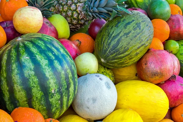 Assortment of tropical fruits — Stock Photo, Image