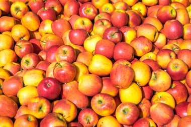 Satılık kırmızı ve sarı elmalar