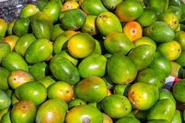 Mango bir pazarda Satılık
