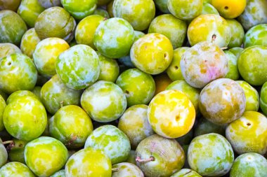 Greengage plums at a market clipart