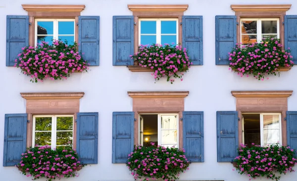 Okna domu ve Freiburgu — Stock fotografie