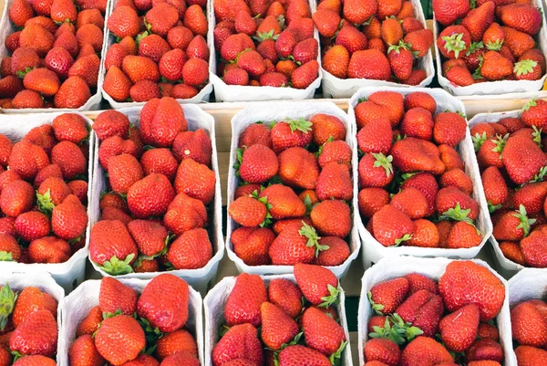 Fragole fresche in un mercato — Foto Stock