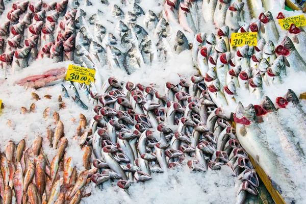 Fiska på en marknad i Istanbul — Stockfoto