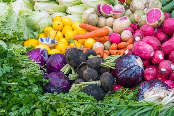 Gemüse, Kräuter und Salat — Stockfoto