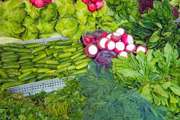 Erbe e insalata in un mercato — Foto Stock