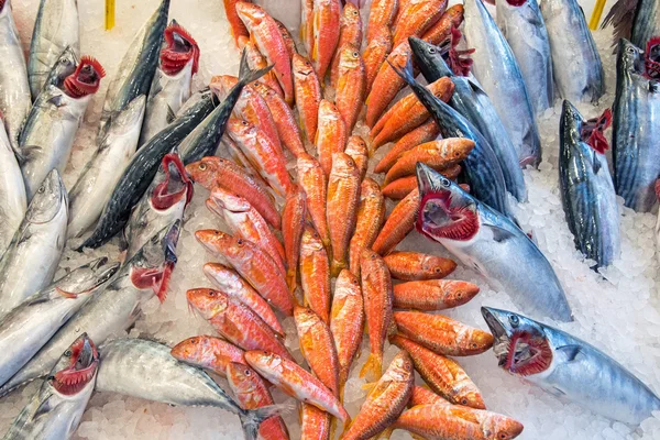 Offre de poisson frais sur un marché — Photo