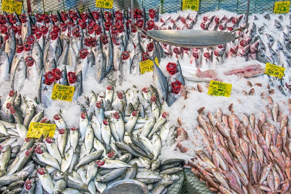 Большой выбор свежей рыбы — стоковое фото