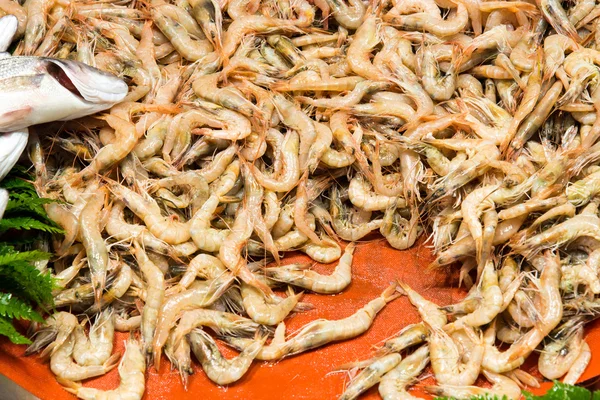 Shrimps at a market in Istanbul — Stock Photo, Image