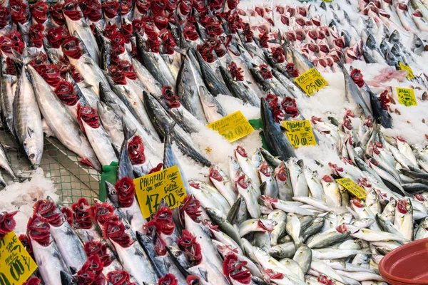 Escolha do peixe num mercado — Fotografia de Stock