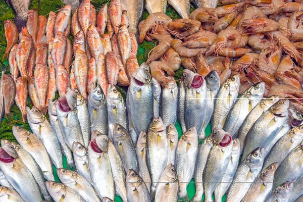 Fish at a market in Istanbul — Stock Photo, Image