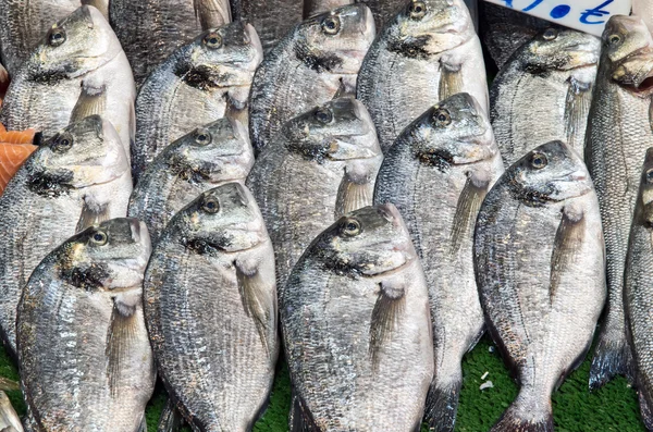 Fresh bream for sale at a market — Stock Photo, Image