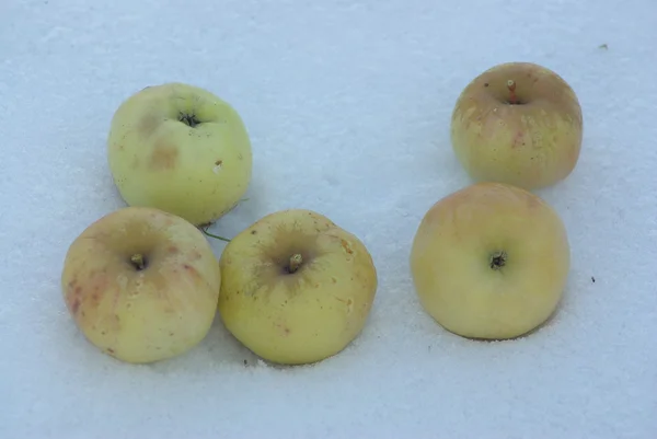 Apples on snow — Stock Photo, Image