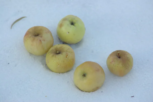 Apples on snow — Stock Photo, Image