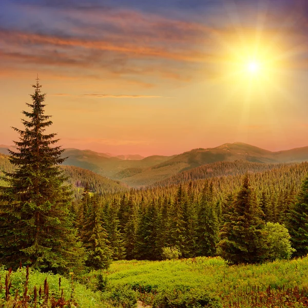山の中で美しい日の出 — ストック写真