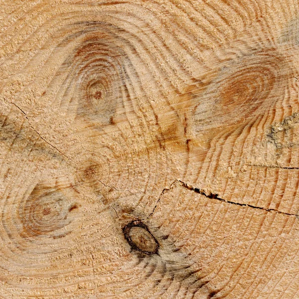 年輪と木目テクスチャ — ストック写真