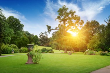 zonsopgang in mooie zomerse park
