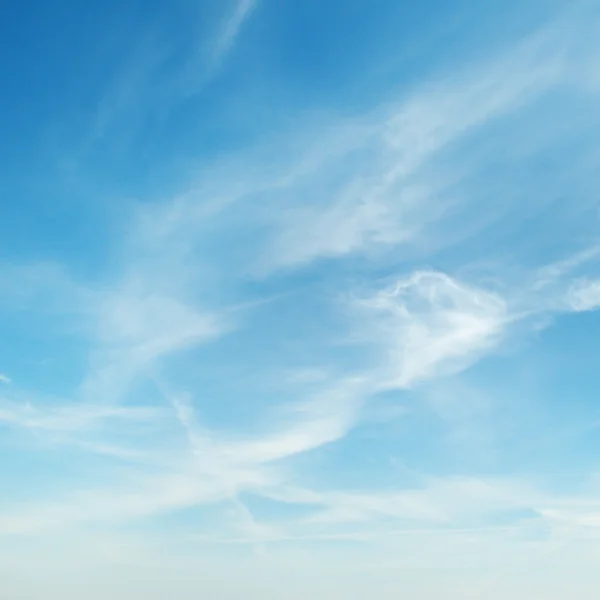 Nuages blancs sur fond bleu — Photo