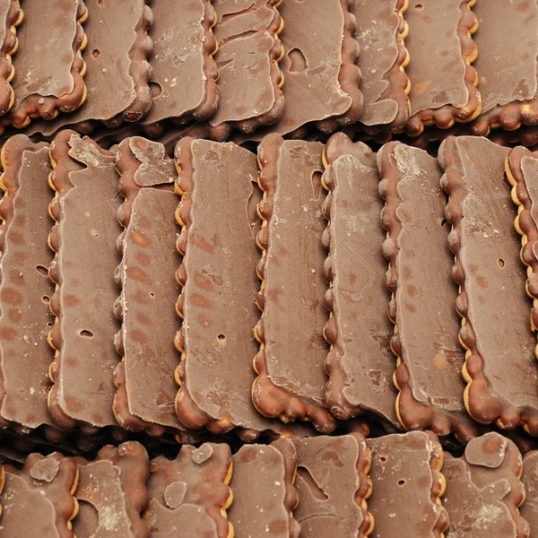 Fresh chocolate biscuits — Stock Photo, Image