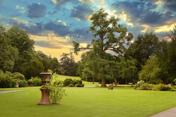 Soluppgång i vacker sommar park — Stockfoto