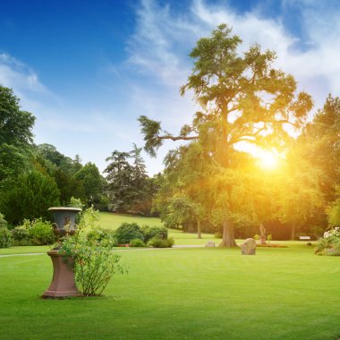 zonsopgang in mooie zomerse park