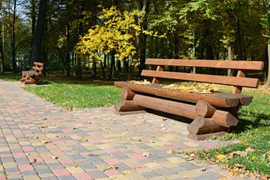 sonbahar Park ahşap Bank